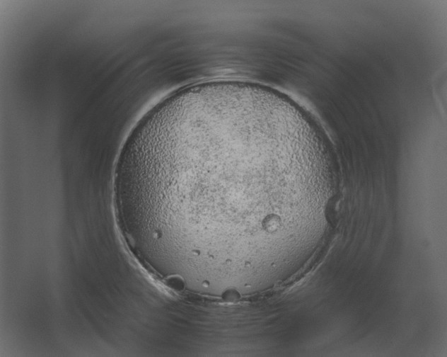 X0000067501333200604211715