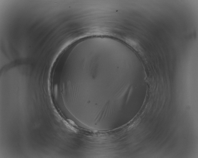 X0000067501334200604211715