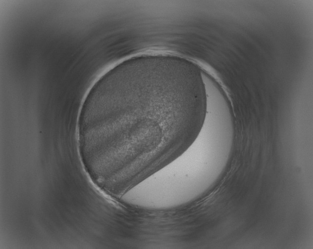 X0000067501335200604211715