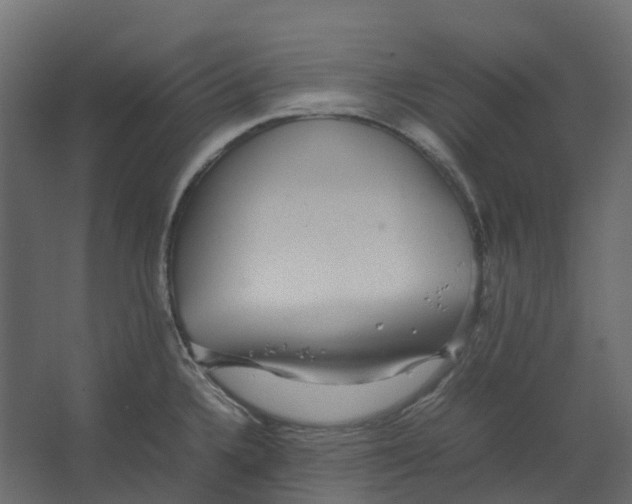 X0000067501336200604211715