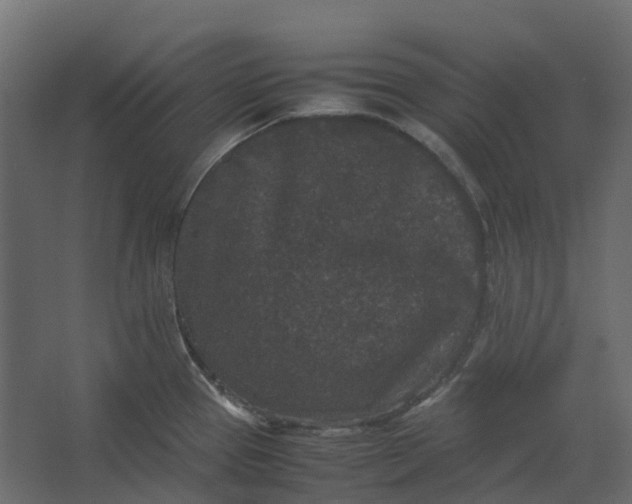 X0000067501337200604211715