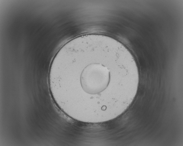 X0000067501338200604211715