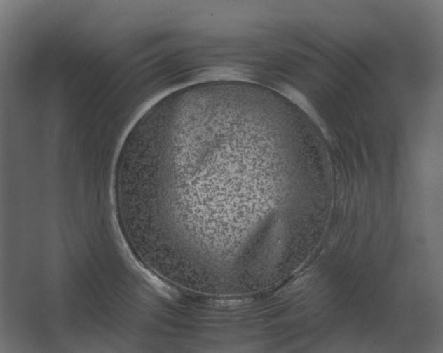 X0000067501339200604211715