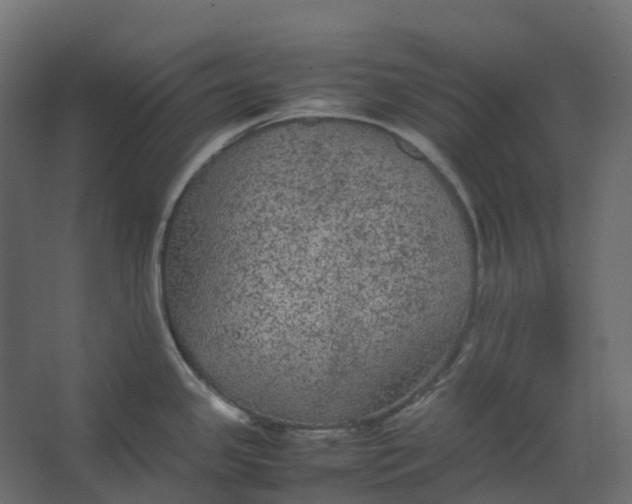 X0000067501341200604211715