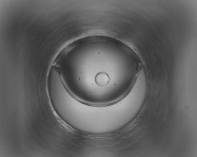 X0000067501342200604211715