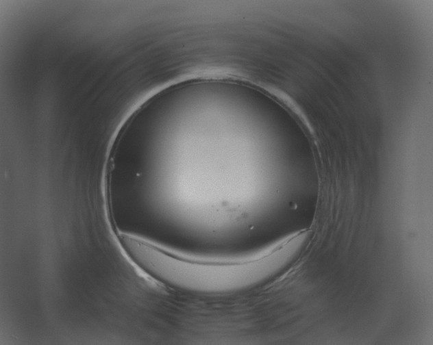 X0000067501343200604211715