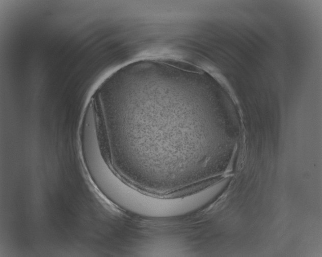 X0000067501344200604211715