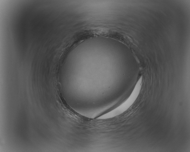 X0000067501345200604211714