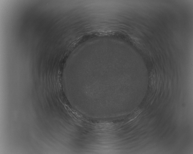 X0000067501346200604211714