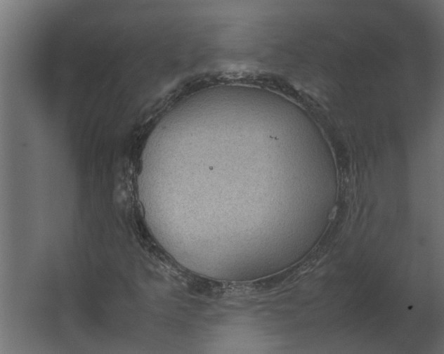 X0000067501349200604211714