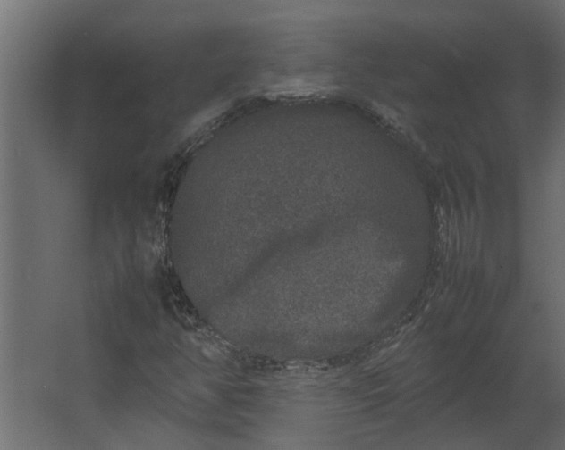 X0000067501350200604211714