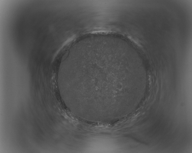 X0000067501351200604211714