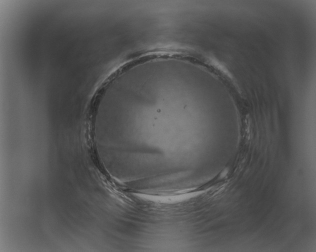 X0000067501352200604211714