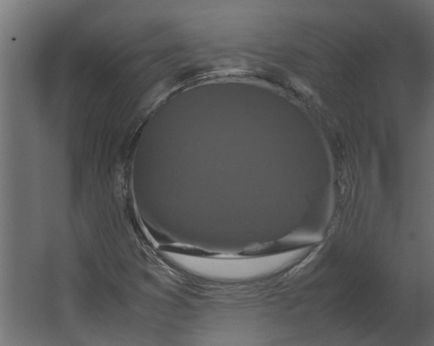 X0000067501353200604211714