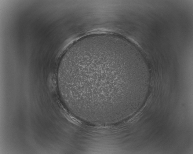 X0000067501355200604211714