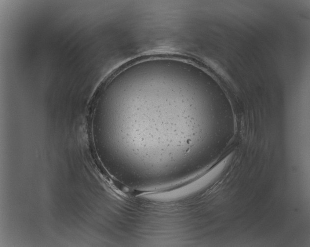 X0000067501356200604211714