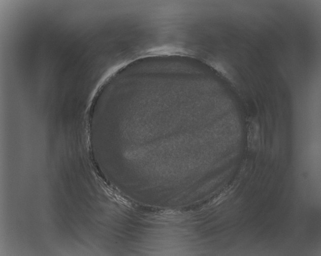 X0000067501358200604211714