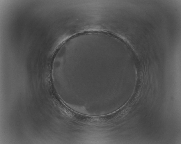 X0000067501359200604211714