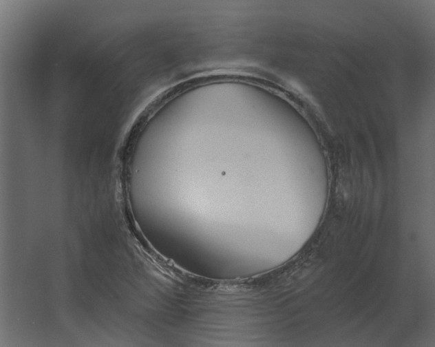 X0000067501360200604211714