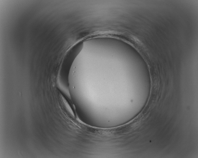 X0000067501361200604211714