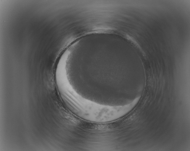 X0000067501362200604211714