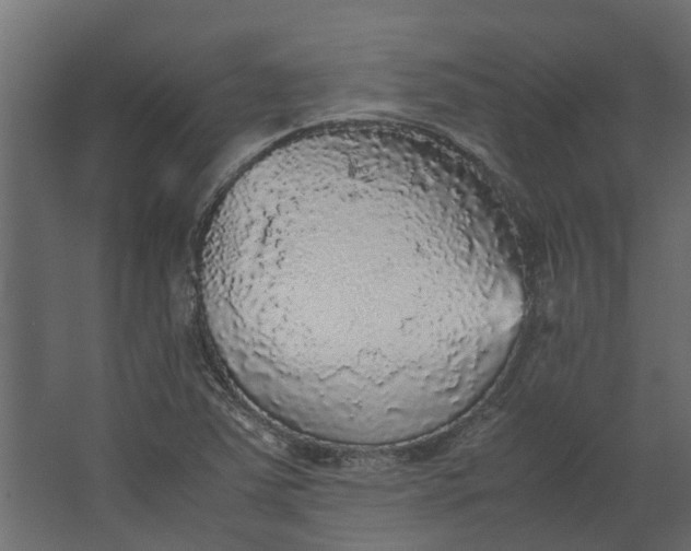 X0000067501363200604211714