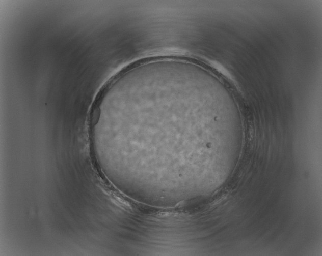 X0000067501364200604211714