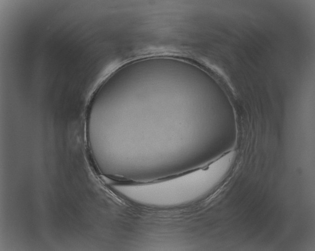 X0000067501365200604211714