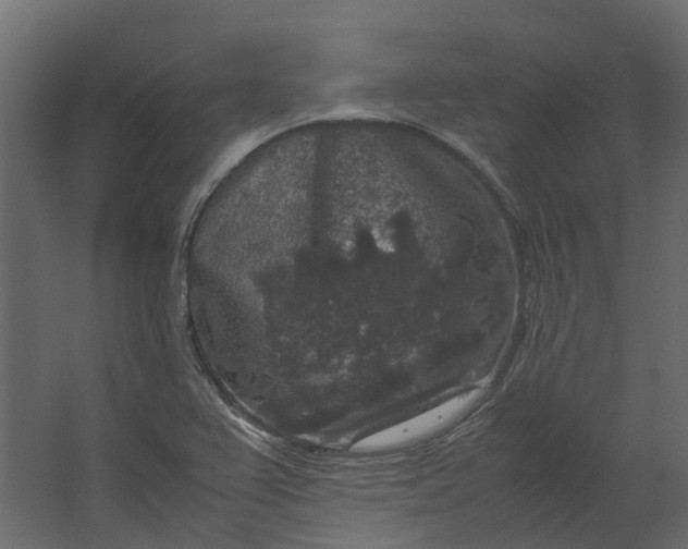 X0000067501367200604211714