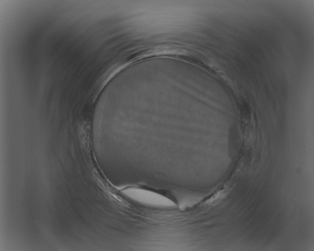 X0000067501369200604211714