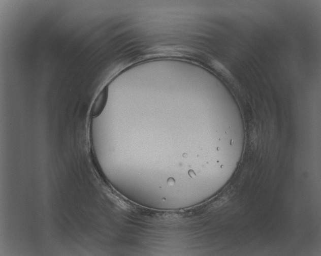 X0000067501370200604211714