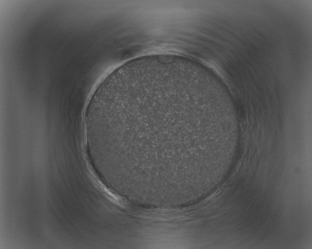 X0000067501371200604211714