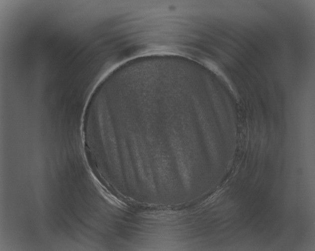 X0000067501372200604211714