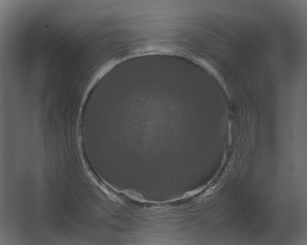 X0000067501373200604211714