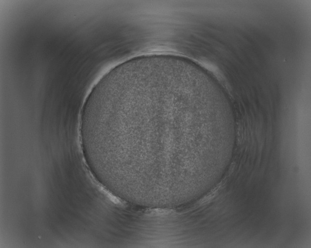 X0000067501374200604211714