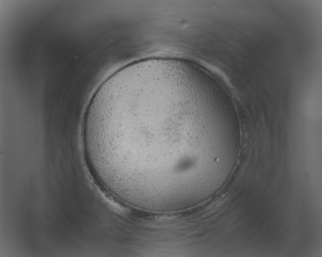 X0000067501375200604211714