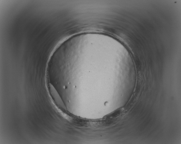 X0000067501379200604211714