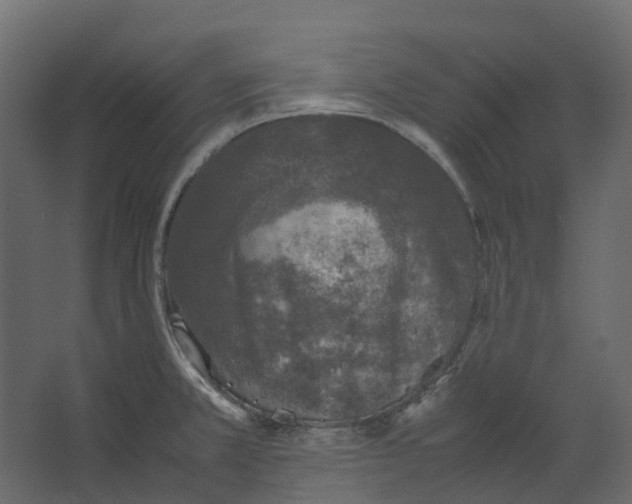 X0000067501381200604211714