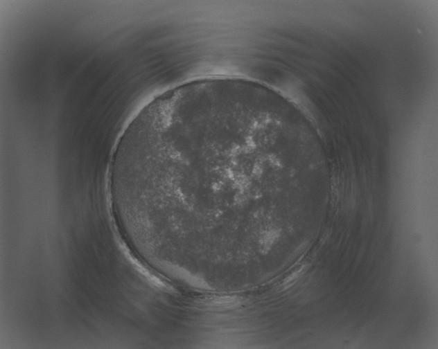 X0000067501382200604211714