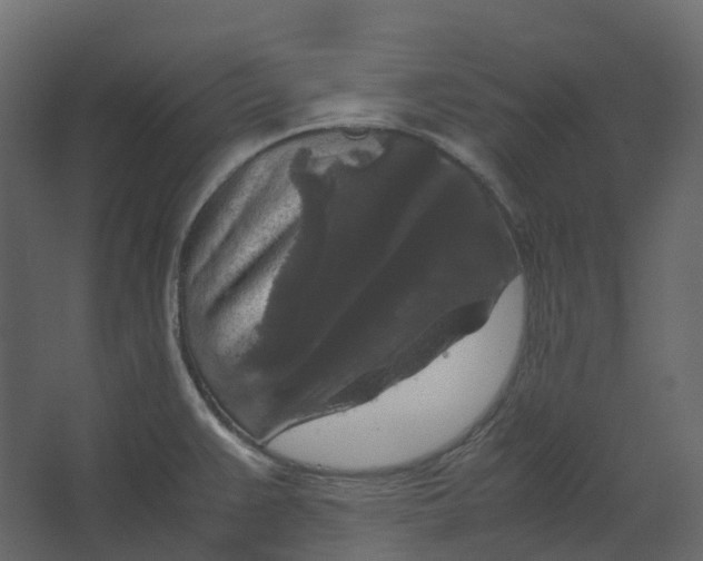 X0000067501383200604211714