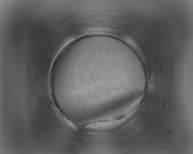 X0000067501384200604211714