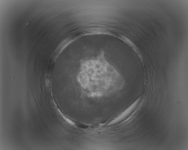 X0000067501385200604211714