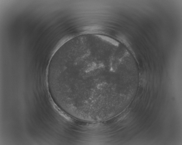 X0000067501386200604211713