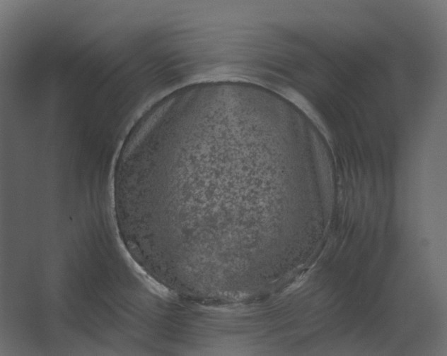 X0000067501388200604211713