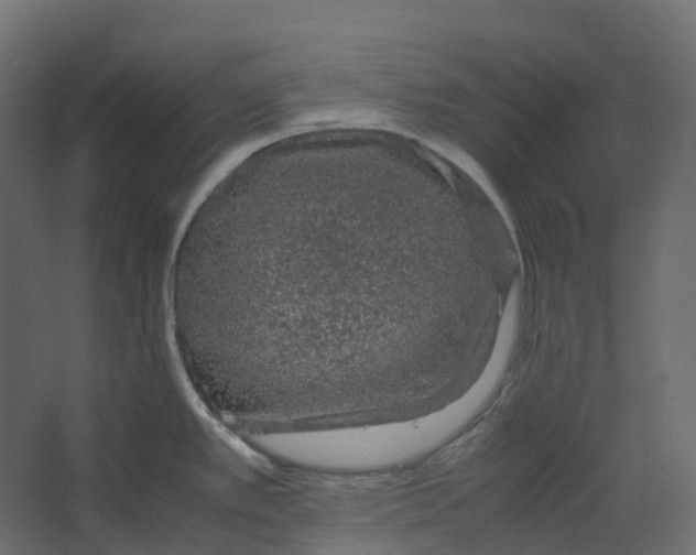 X0000067501389200604211713