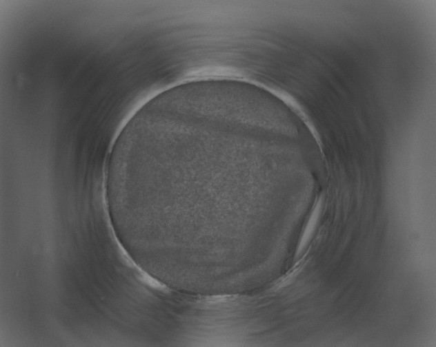 X0000067501390200604211713