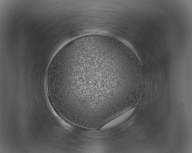 X0000067501391200604211713