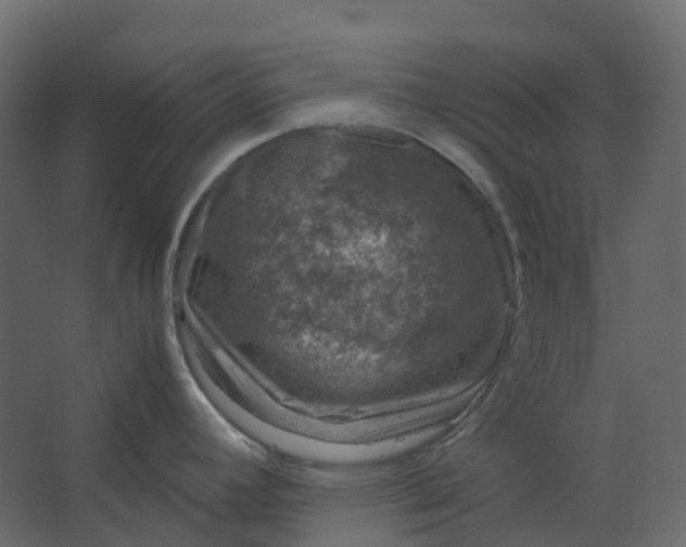 X0000067501392200604211713