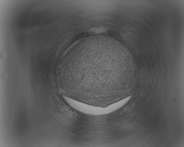 X0000067501393200604211713