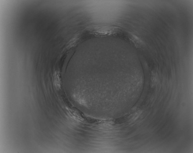 X0000067501394200604211713